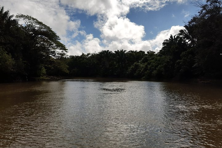 Private Caño Negro Tour - Photo 1 of 10